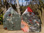 Polished Bloodstone Display Crystals x 2 From Swaziland - Toprock Gemstones and Minerals 
