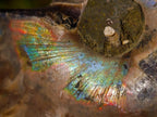 Polished Cleoniceras Ammonite Fossil Pairs x 12 pairs From Tulear, Madagascar - Toprock Gemstones and Minerals 