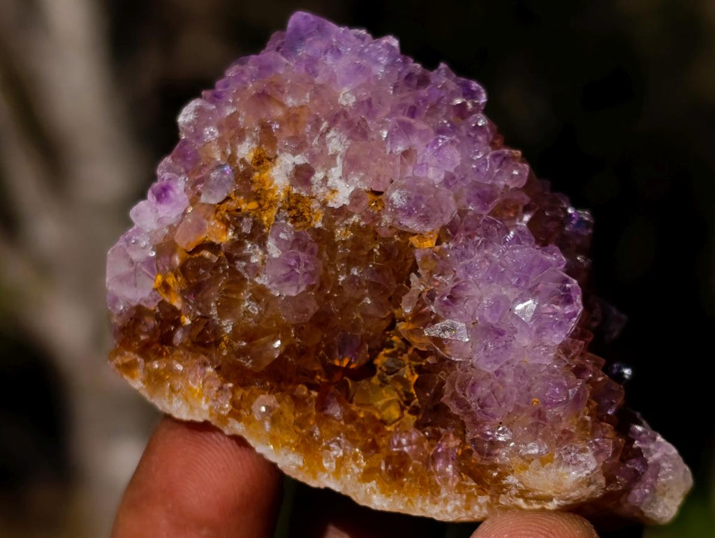 Natural Spirit Amethyst Clusters x 35 From Boekenhouthoek, South Africa - Toprock Gemstones and Minerals 