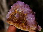 Natural Spirit Amethyst Clusters x 35 From Boekenhouthoek, South Africa - Toprock Gemstones and Minerals 
