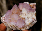 Natural Spirit Amethyst Clusters x 35 From Boekenhouthoek, South Africa - Toprock Gemstones and Minerals 