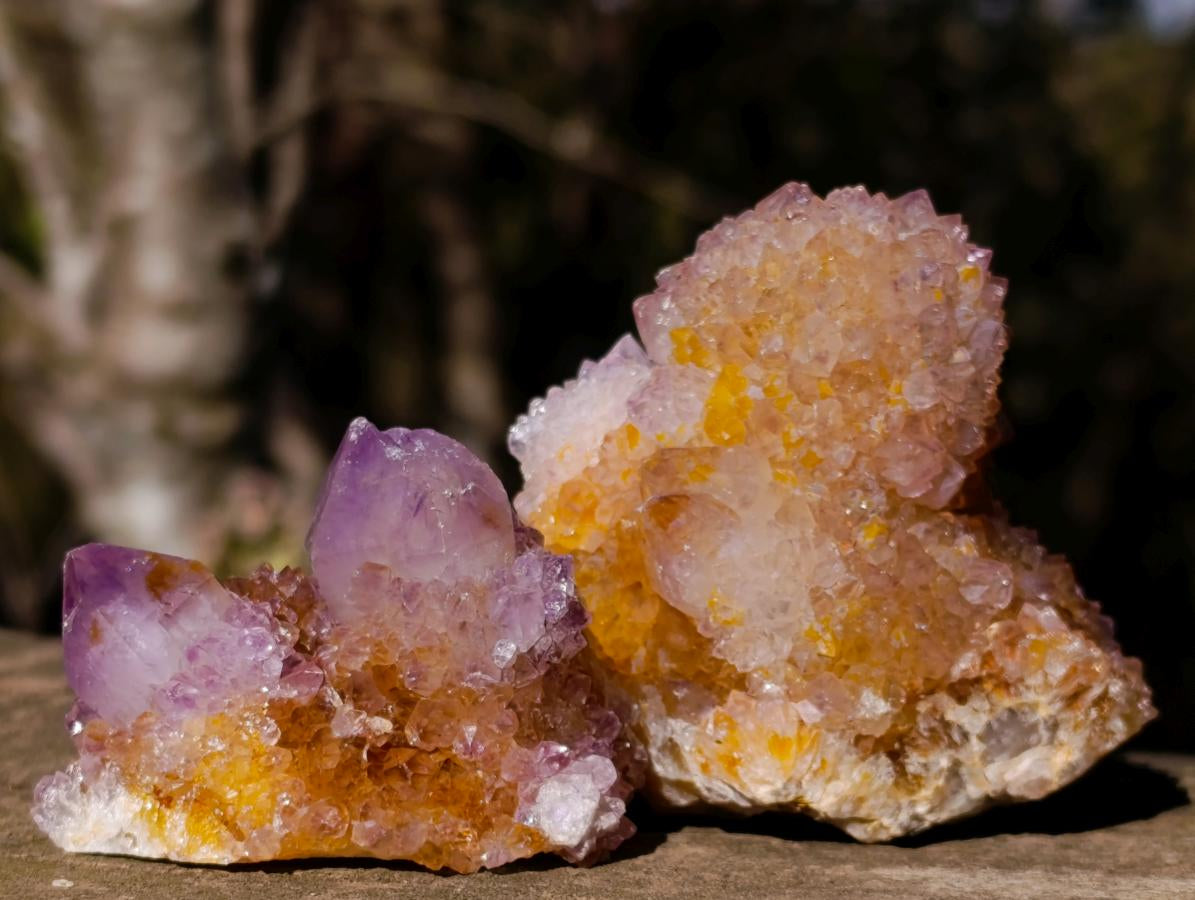 Natural Spirit Amethyst Clusters x 35 From Boekenhouthoek, South Africa - Toprock Gemstones and Minerals 
