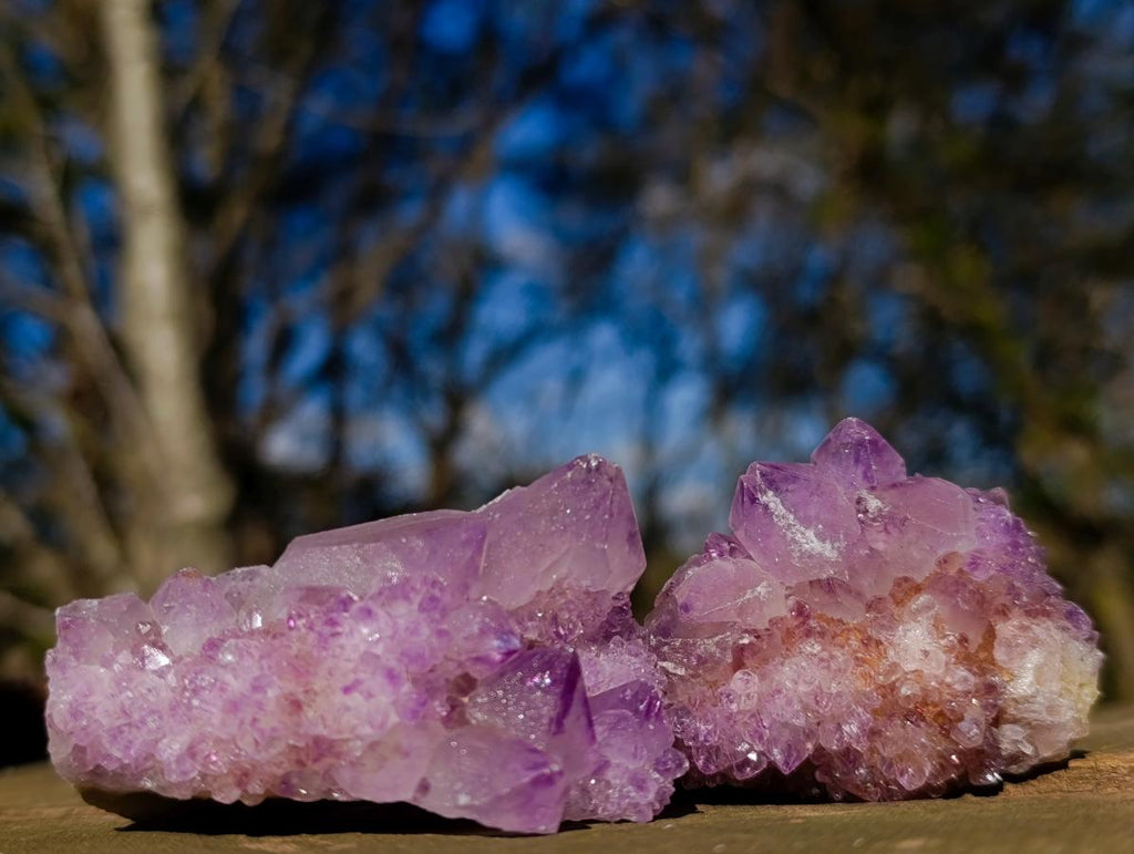Natural Spirit Amethyst Clusters x 35 From Boekenhouthoek, South Africa - Toprock Gemstones and Minerals 