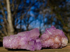 Natural Spirit Amethyst Clusters x 35 From Boekenhouthoek, South Africa - Toprock Gemstones and Minerals 