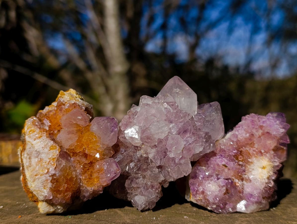 Natural Spirit Amethyst Clusters x 35 From Boekenhouthoek, South Africa - Toprock Gemstones and Minerals 