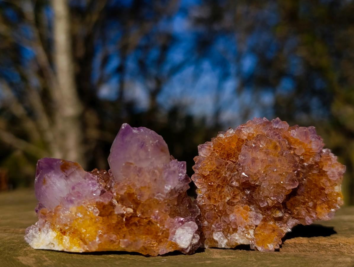Natural Spirit Amethyst Clusters x 35 From Boekenhouthoek, South Africa - Toprock Gemstones and Minerals 