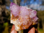 Natural Spirit Amethyst Clusters x 35 From Boekenhouthoek, South Africa - Toprock Gemstones and Minerals 