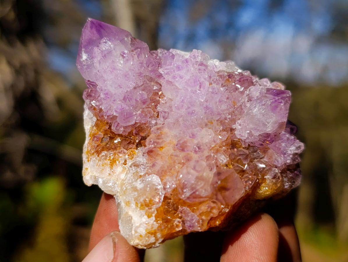 Natural Spirit Amethyst Clusters x 35 From Boekenhouthoek, South Africa - Toprock Gemstones and Minerals 