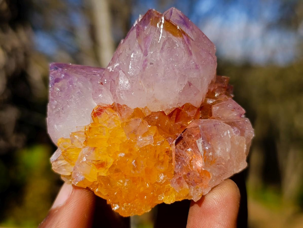 Natural Spirit Amethyst Clusters x 35 From Boekenhouthoek, South Africa - Toprock Gemstones and Minerals 