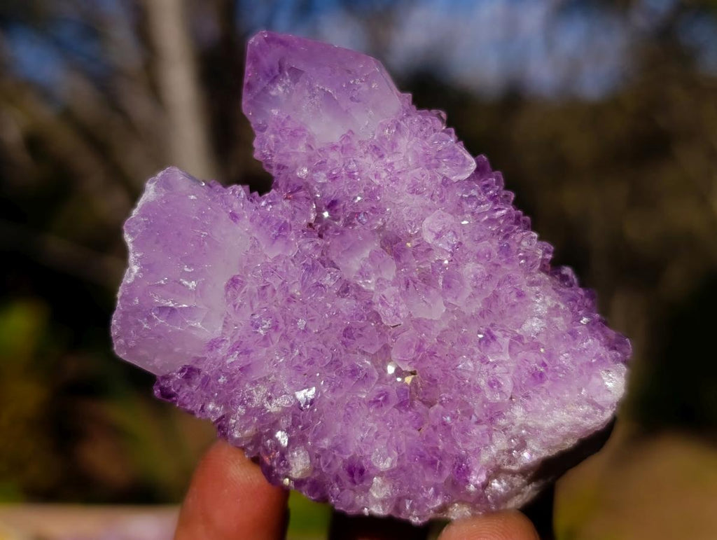 Natural Spirit Amethyst Clusters x 35 From Boekenhouthoek, South Africa - Toprock Gemstones and Minerals 