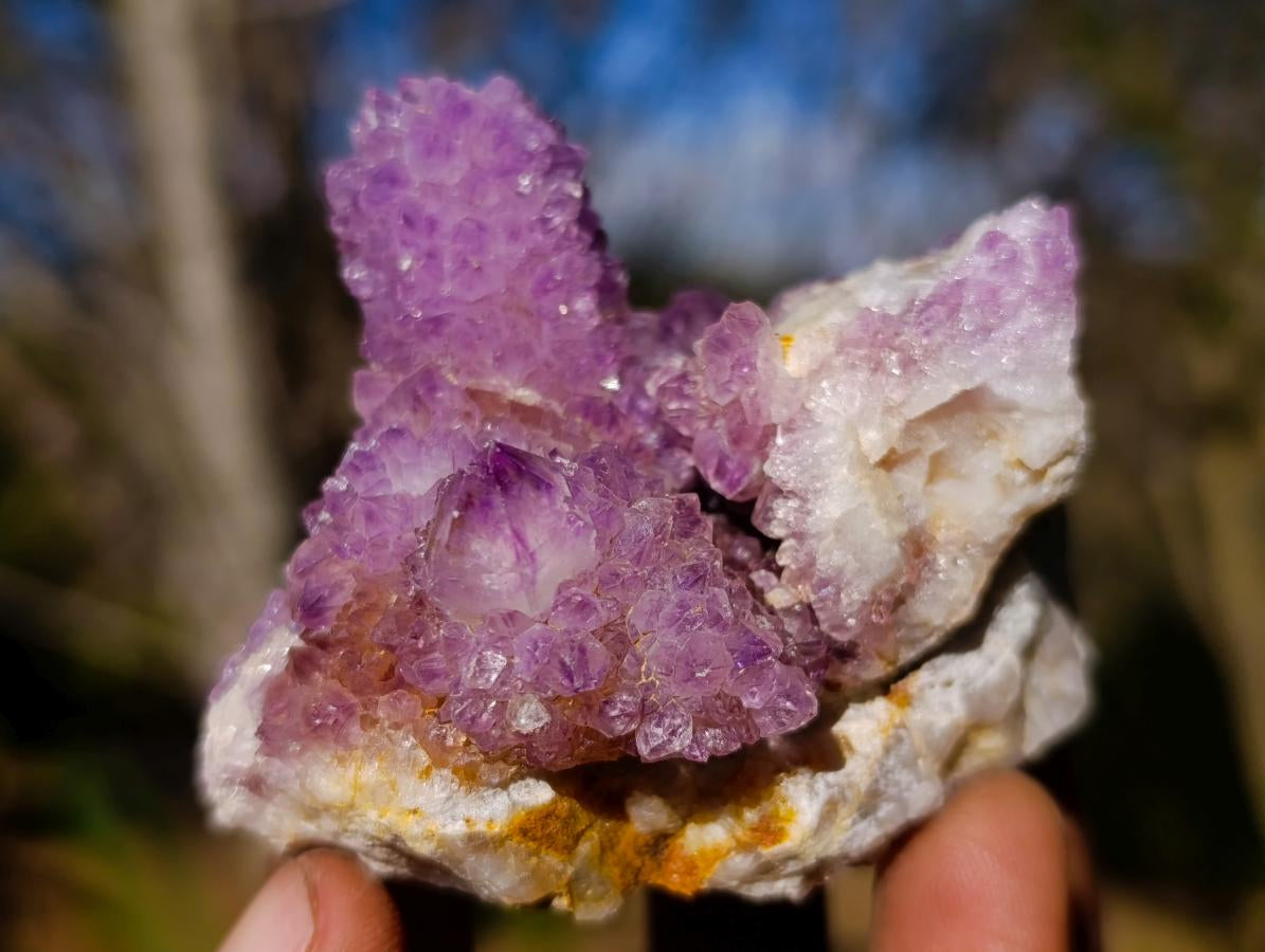 Natural Spirit Amethyst Clusters x 35 From Boekenhouthoek, South Africa - Toprock Gemstones and Minerals 