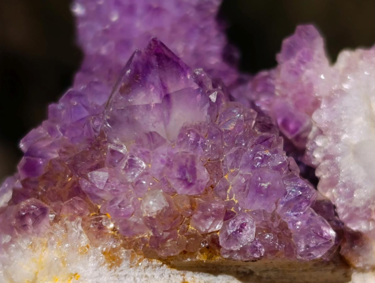 Natural Spirit Amethyst Clusters x 35 From Boekenhouthoek, South Africa - Toprock Gemstones and Minerals 