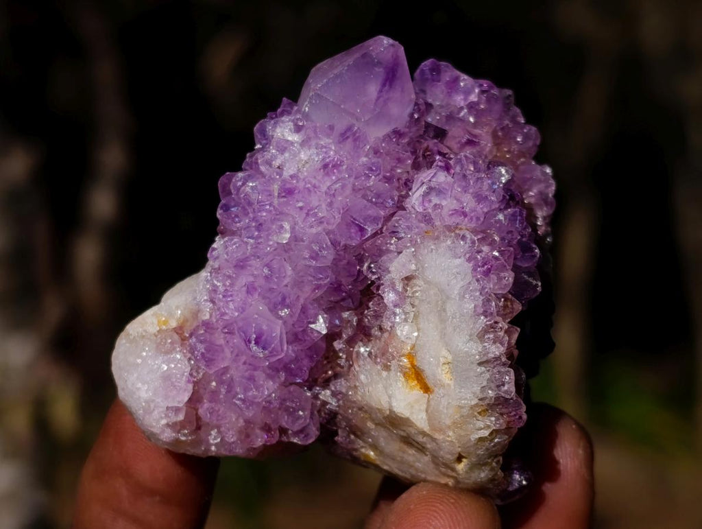 Natural Spirit Amethyst Clusters x 35 From Boekenhouthoek, South Africa - Toprock Gemstones and Minerals 