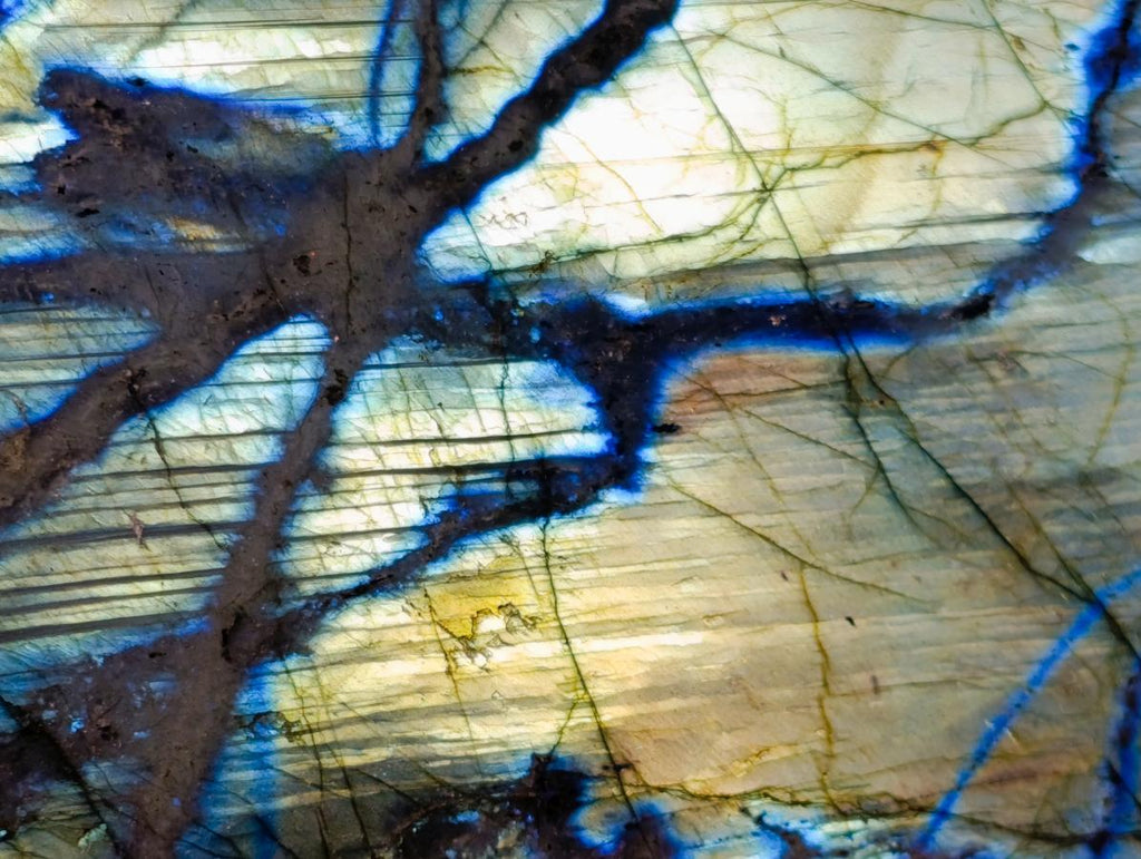 Polished One Side Labradorite Specimens x 3 From Madagascar - Toprock Gemstones and Minerals 