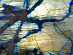Polished One Side Labradorite Specimens x 3 From Madagascar - Toprock Gemstones and Minerals 