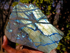 Polished One Side Labradorite Specimens x 3 From Madagascar - Toprock Gemstones and Minerals 