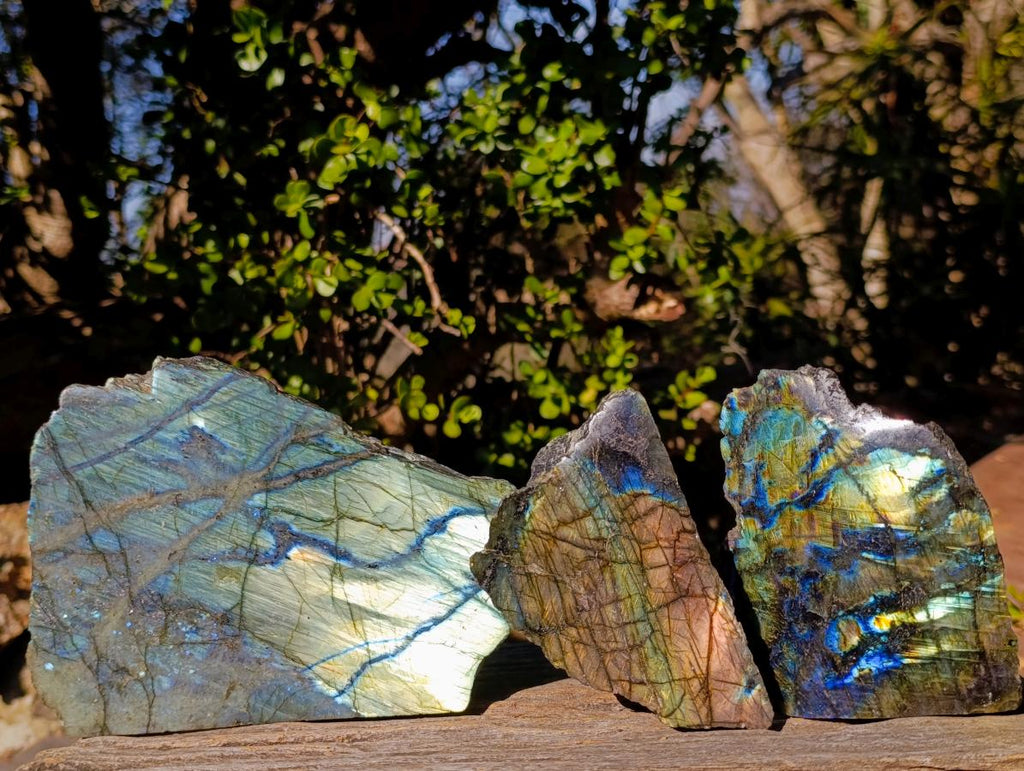 Polished One Side Labradorite Specimens x 3 From Madagascar - Toprock Gemstones and Minerals 