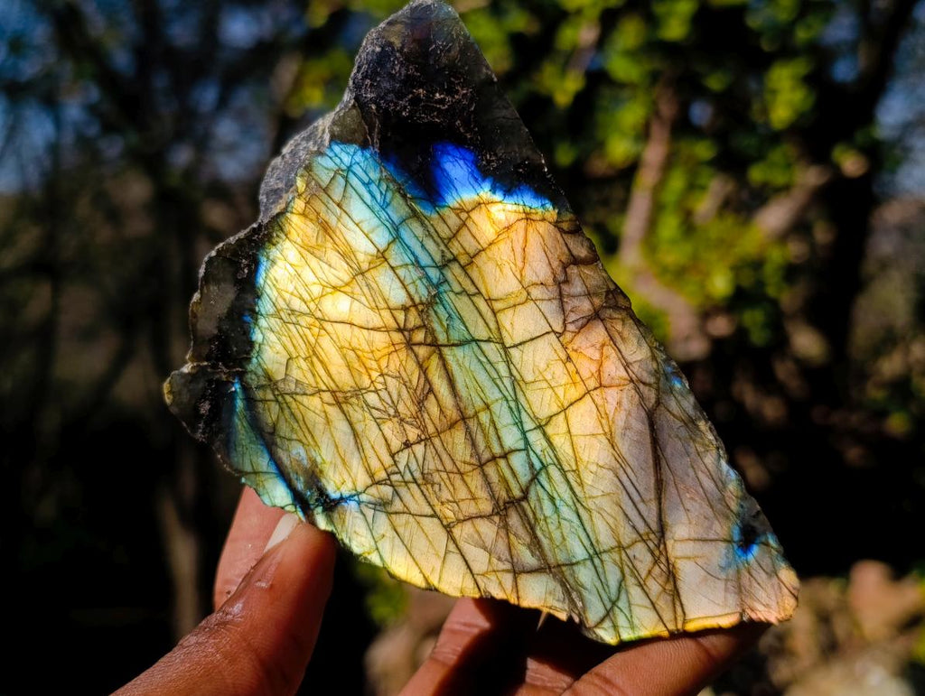 Polished One Side Labradorite Specimens x 3 From Madagascar - Toprock Gemstones and Minerals 