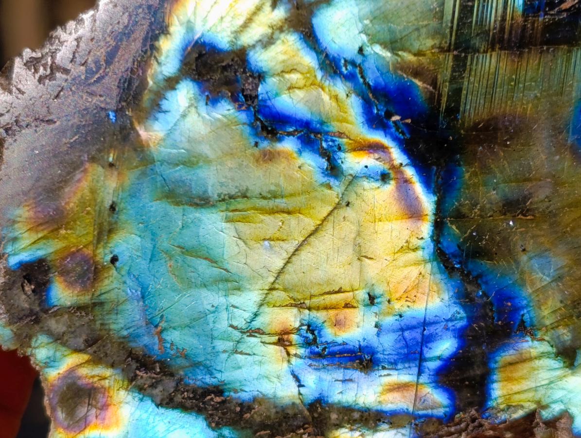 Polished One Side Labradorite Specimens x 3 From Madagascar - Toprock Gemstones and Minerals 