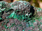 Natural Silky Malachite Specimens x 6 From Kasompe, Congo - Toprock Gemstones and Minerals 
