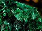 Natural Silky Malachite Specimens x 6 From Kasompe, Congo - Toprock Gemstones and Minerals 