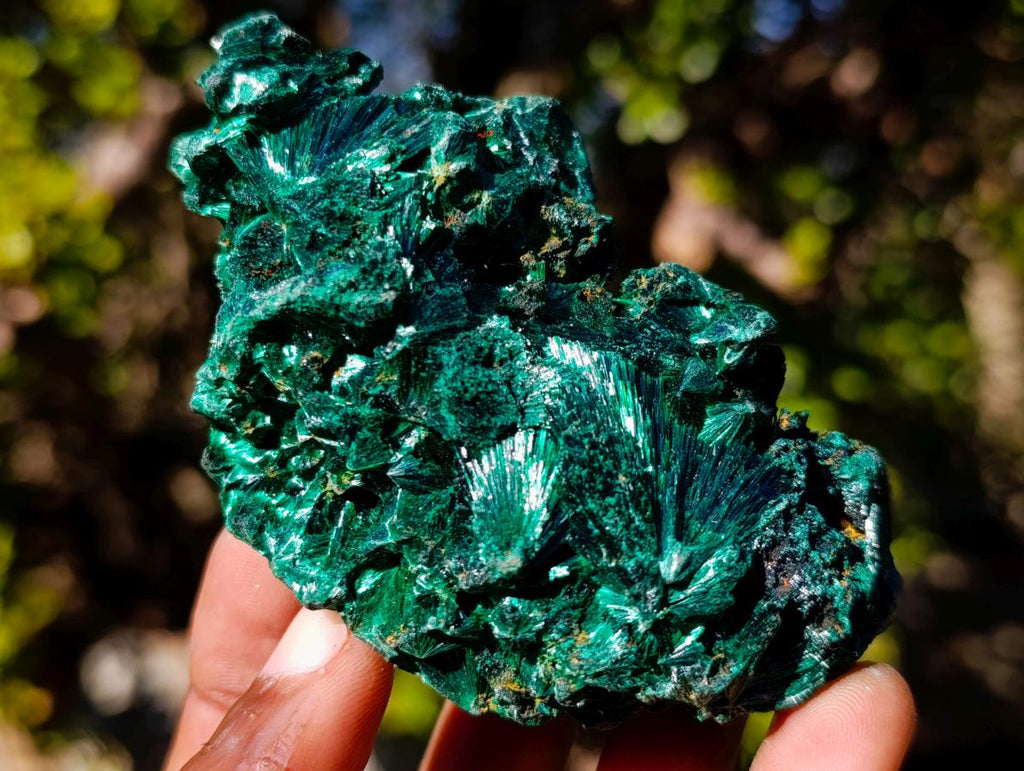 Natural Silky Malachite Specimens x 6 From Kasompe, Congo - Toprock Gemstones and Minerals 