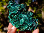 Natural Silky Malachite Specimens x 6 From Kasompe, Congo - Toprock Gemstones and Minerals 