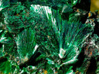 Natural Silky Malachite Specimens x 6 From Kasompe, Congo - Toprock Gemstones and Minerals 