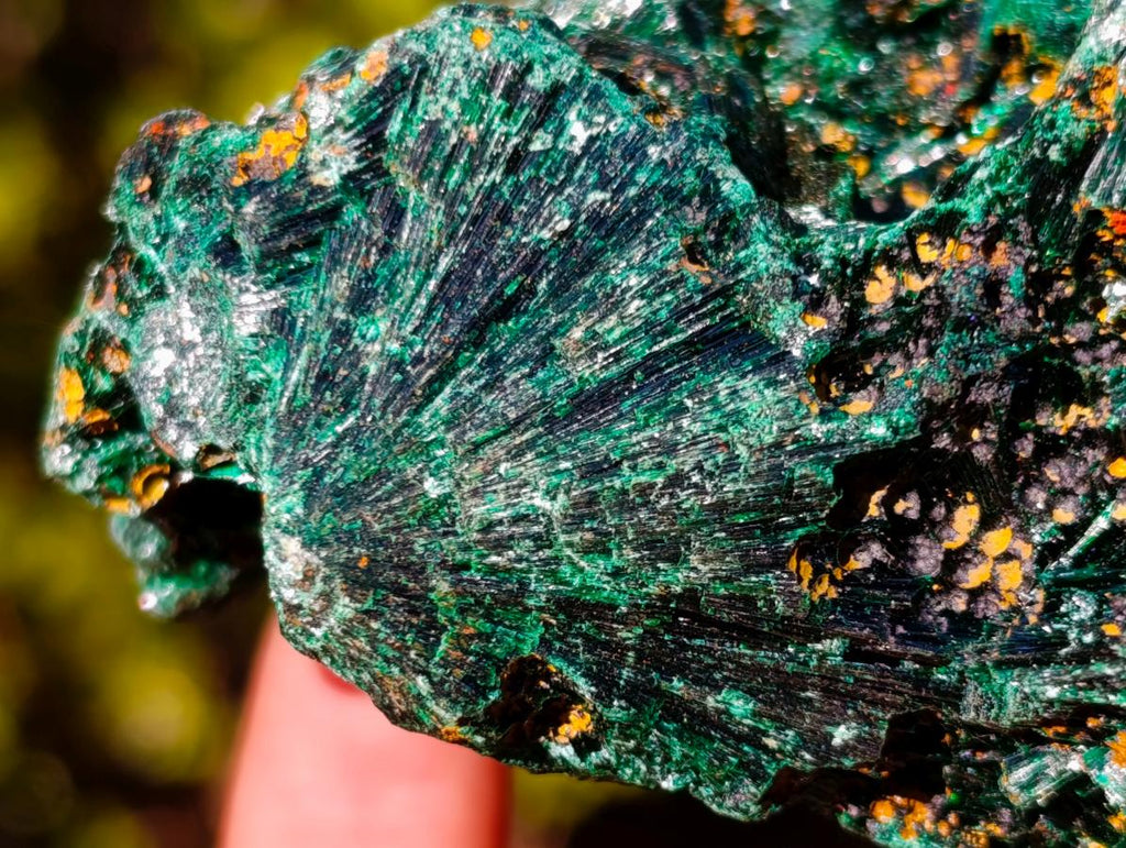 Natural Silky Malachite Specimens x 6 From Kasompe, Congo - Toprock Gemstones and Minerals 