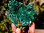 Natural Silky Malachite Specimens x 6 From Kasompe, Congo - Toprock Gemstones and Minerals 