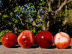 Polished and Natural Carnelian Agate Gemstone Spheres x 4 From Madagascar - Toprock Gemstones and Minerals 