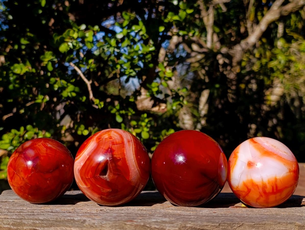 Polished and Natural Carnelian Agate Gemstone Spheres x 4 From Madagascar - Toprock Gemstones and Minerals 