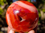 Polished and Natural Carnelian Agate Gemstone Spheres x 4 From Madagascar - Toprock Gemstones and Minerals 