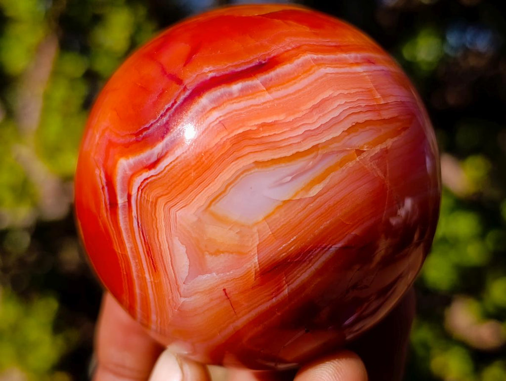 Polished and Natural Carnelian Agate Gemstone Spheres x 4 From Madagascar - Toprock Gemstones and Minerals 