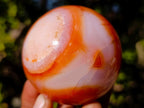 Polished and Natural Carnelian Agate Gemstone Spheres x 4 From Madagascar - Toprock Gemstones and Minerals 