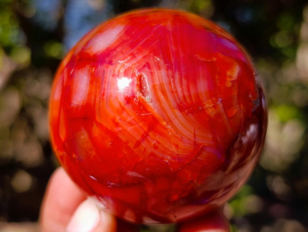 Polished and Natural Carnelian Agate Gemstone Spheres x 4 From Madagascar - Toprock Gemstones and Minerals 