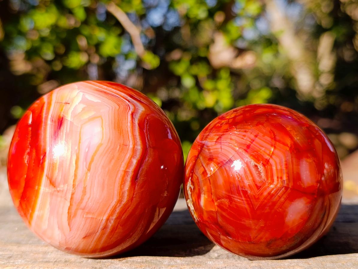 Polished and Natural Carnelian Agate Gemstone Spheres x 4 From Madagascar - Toprock Gemstones and Minerals 