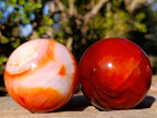 Polished and Natural Carnelian Agate Gemstone Spheres x 4 From Madagascar - Toprock Gemstones and Minerals 