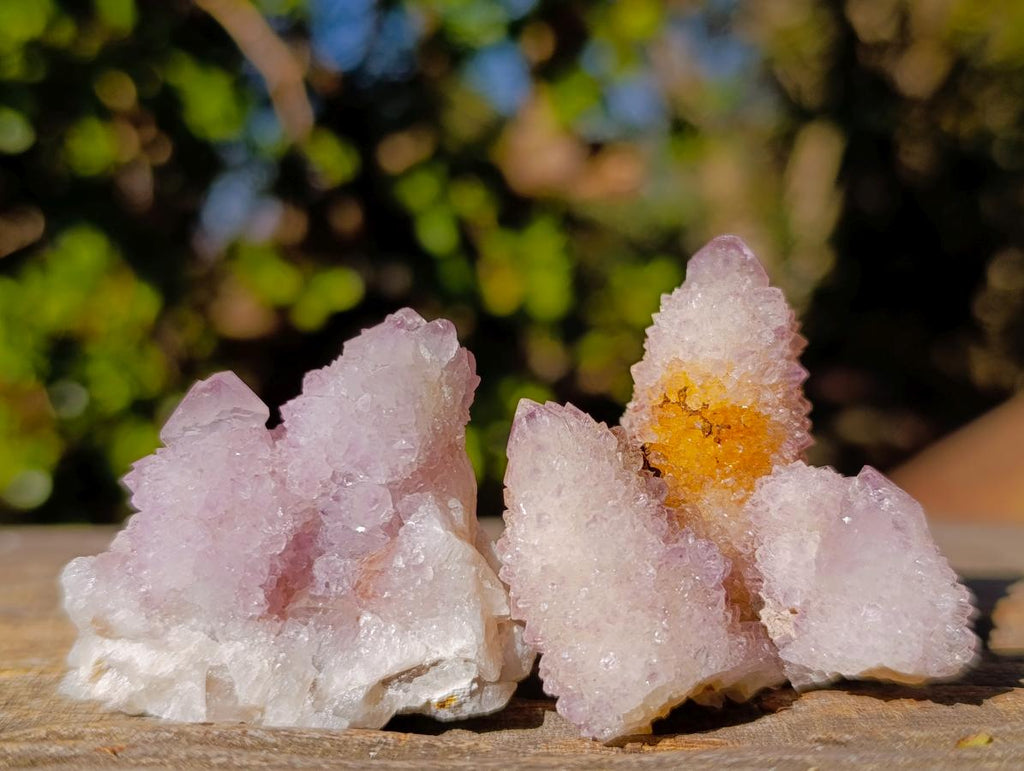 Natural Small Lilac Spirit Amethyst Crystals x 35 From Boekenhouthoek, South Africa - Toprock Gemstones and Minerals 