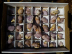 Natural Small Lilac Spirit Amethyst Crystals x 35 From Boekenhouthoek, South Africa - Toprock Gemstones and Minerals 