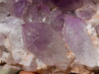 Natural Jacaranda Amethyst Crystal Clusters x 2 From Mumbwa, Zambia - Toprock Gemstones and Minerals 