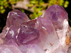 Natural Jacaranda Amethyst Crystal Clusters x 2 From Mumbwa, Zambia - Toprock Gemstones and Minerals 