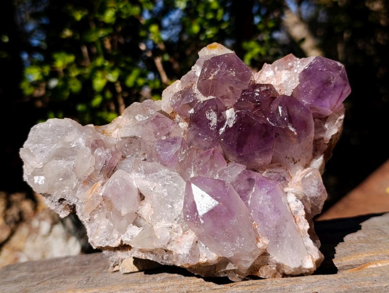 Natural Jacaranda Amethyst Crystal Clusters x 2 From Mumbwa, Zambia - Toprock Gemstones and Minerals 