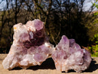 Natural Jacaranda Amethyst Crystal Clusters x 2 From Mumbwa, Zambia - Toprock Gemstones and Minerals 