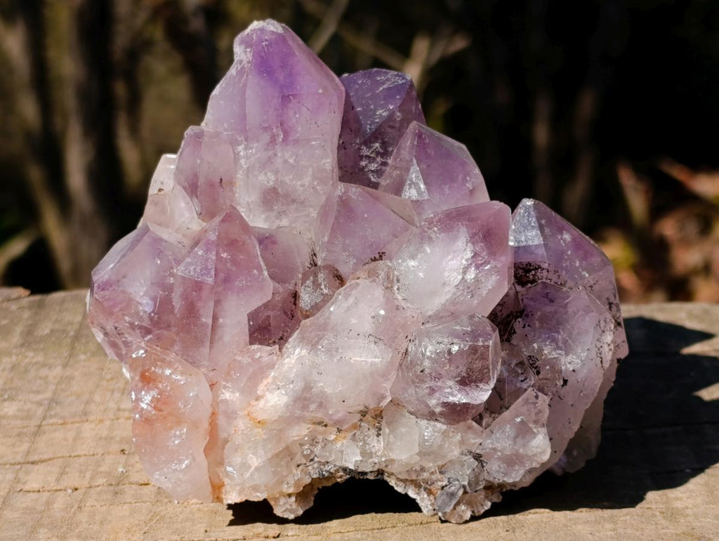 Natural Jacaranda Amethyst Crystal Clusters x 2 From Mumbwa, Zambia - Toprock Gemstones and Minerals 