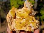Natural Golden Limonite Quartz Crystal Clusters x 12 From Solwezi, Zambia - Toprock Gemstones and Minerals 