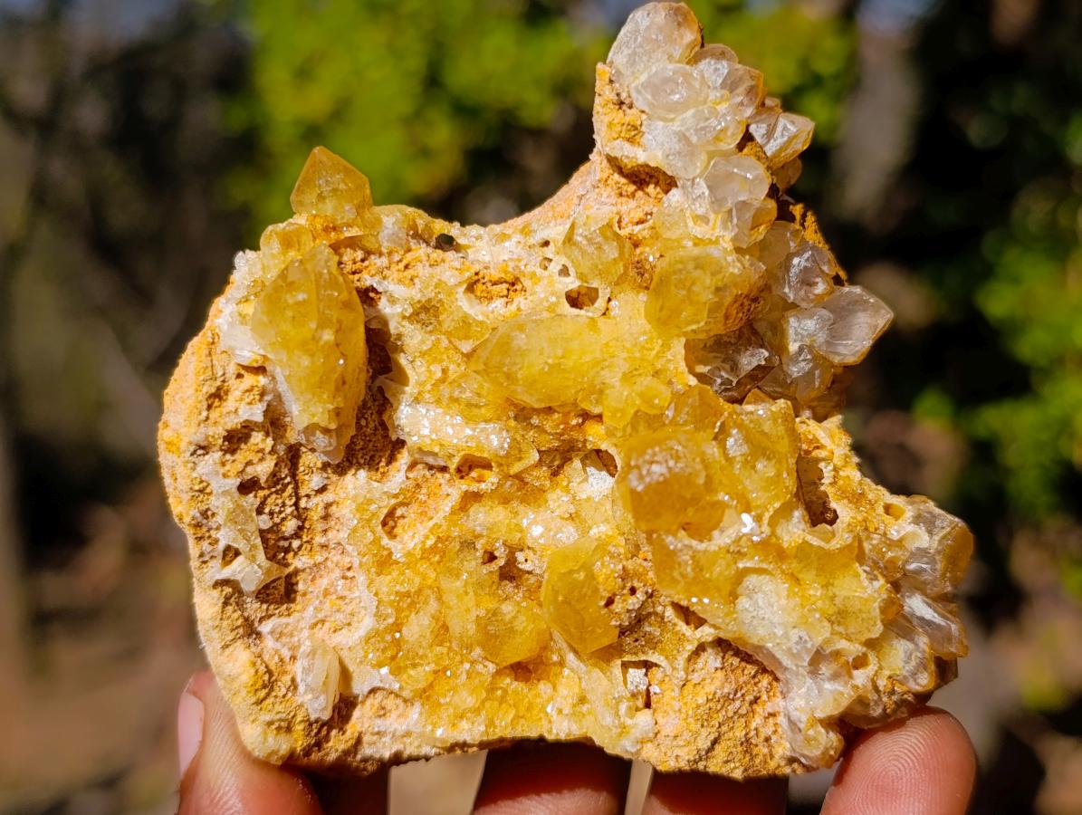 Natural Golden Limonite Quartz Crystal Clusters x 12 From Solwezi, Zambia - Toprock Gemstones and Minerals 
