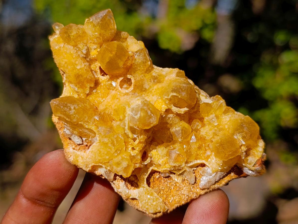 Natural Golden Limonite Quartz Crystal Clusters x 12 From Solwezi, Zambia - Toprock Gemstones and Minerals 
