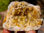 Natural Golden Limonite Quartz Crystal Clusters x 12 From Solwezi, Zambia - Toprock Gemstones and Minerals 