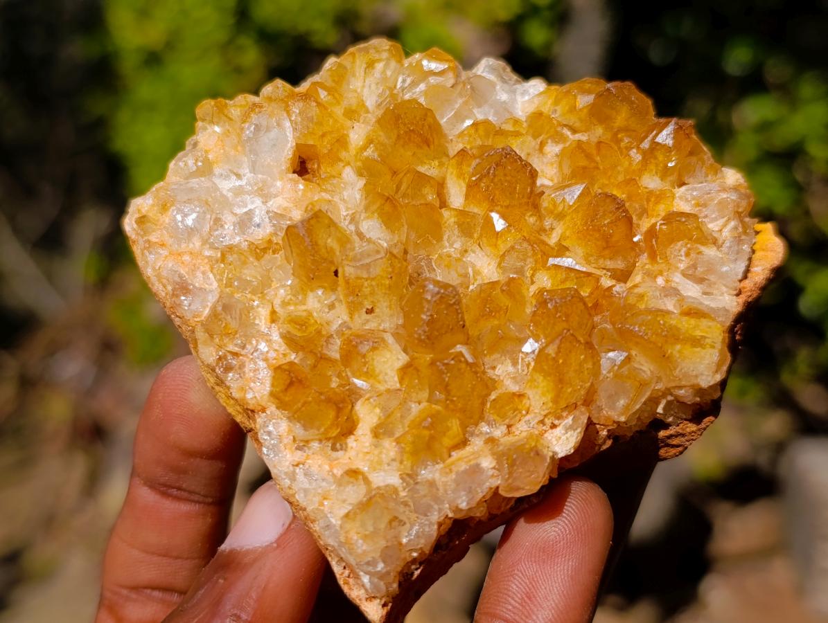 Natural Golden Limonite Quartz Crystal Clusters x 12 From Solwezi, Zambia - Toprock Gemstones and Minerals 